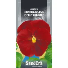 Фиалка садовая Швейцарский гигант Скарлет от Профессиональных Семян