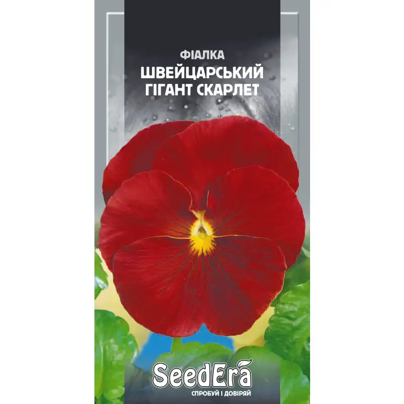Фиалка садовая Швейцарский гигант Скарлет от Профессиональных Семян