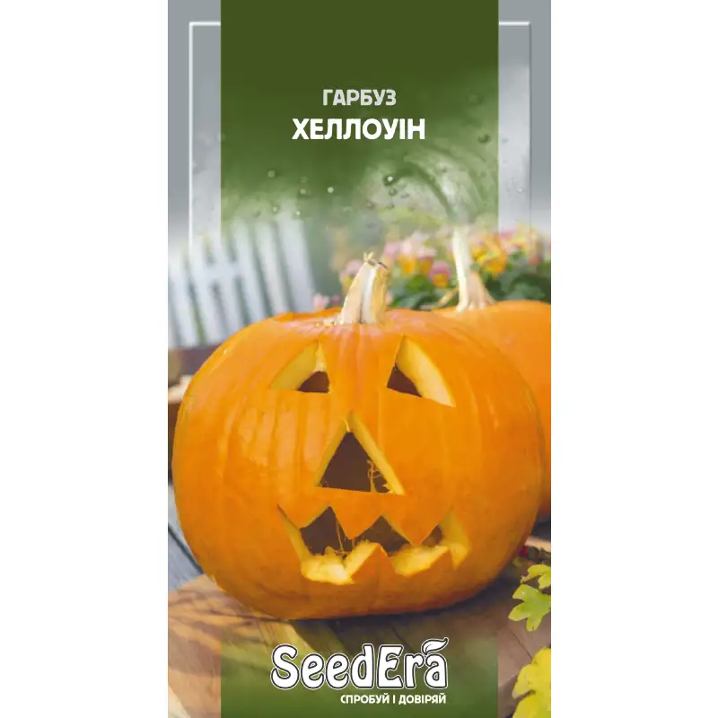 Тыква Хеллоуин от Профессиональных Семян