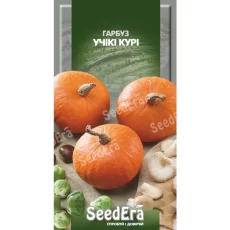 Тыква Учики Кури от Профессиональных Семян
