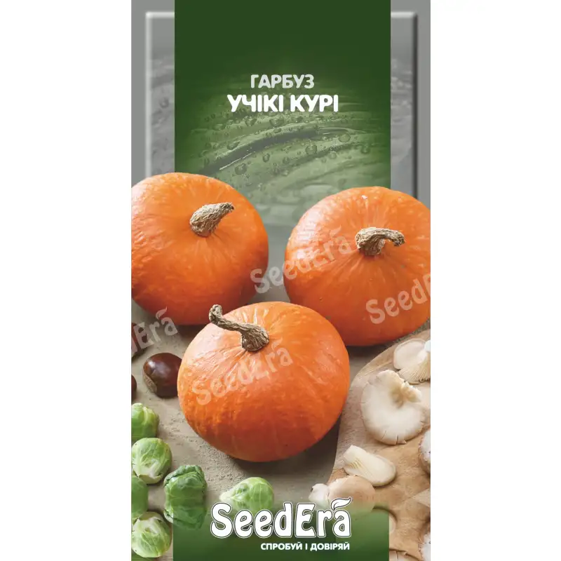 Тыква Учики Кури от Профессиональных Семян
