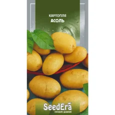Картофель Асоль от Профессиональных Семян