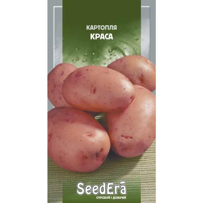 Картофель Краса от Профессиональных Семян
