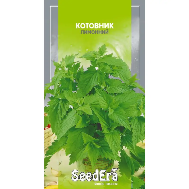 Котовник лимонный от Профессиональных Семян