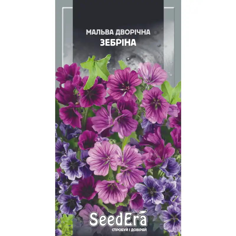 Мальва Зебрина двулетняя от Профессиональных Семян