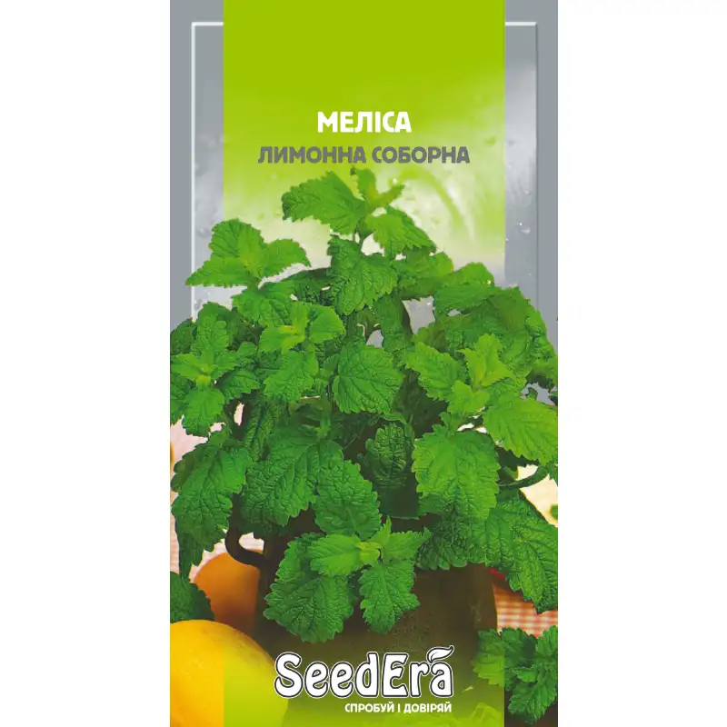 Мелисса лимонная Соборная от Профессиональных Семян