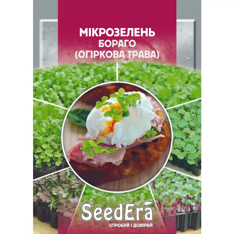 Микрозелень Огуречная трава от Профессиональных Семян