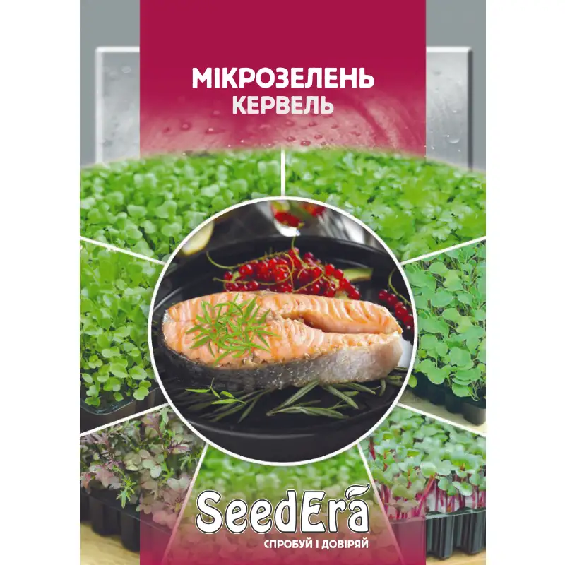 Микрозелень Кервель от Профессиональных Семян