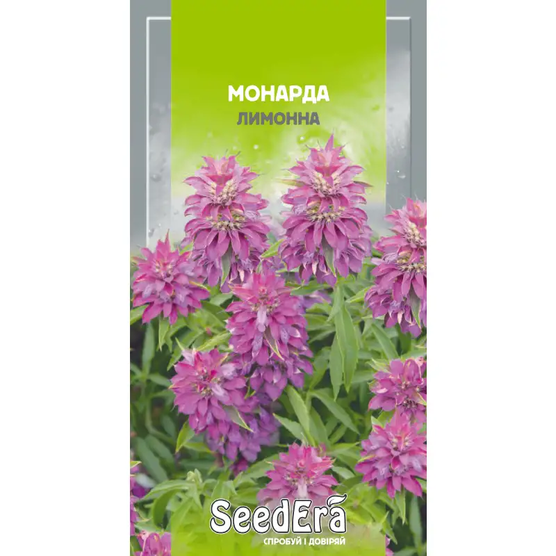 Монарда лимонная от Профессиональных Семян