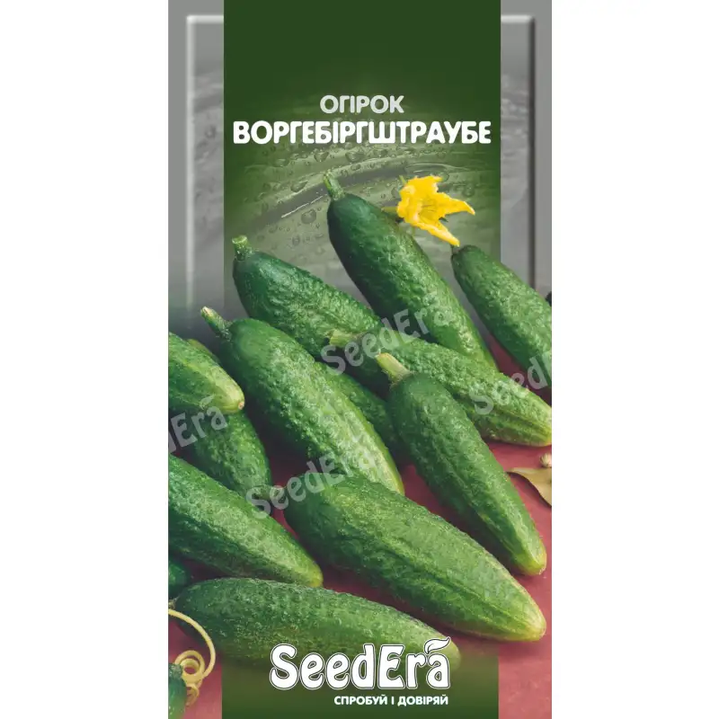 Огурец Воргебиргштраубе от Профессиональных Семян