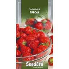 Клубника Треска от Профессиональных Семян