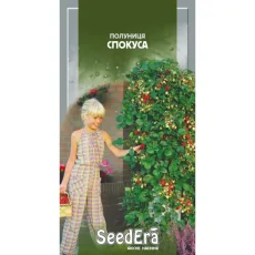 Клубника Искушение от Профессиональных Семян
