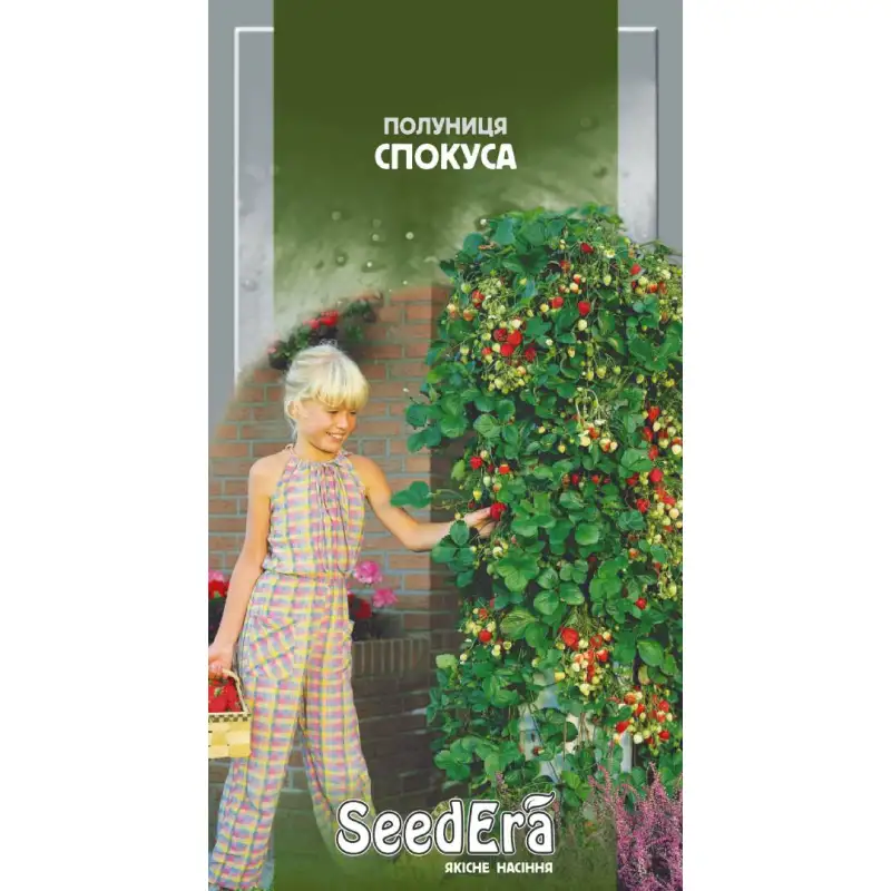 Клубника Искушение от Профессиональных Семян