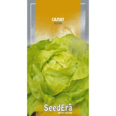 Салат Бона кочанный от Профессиональных Семян