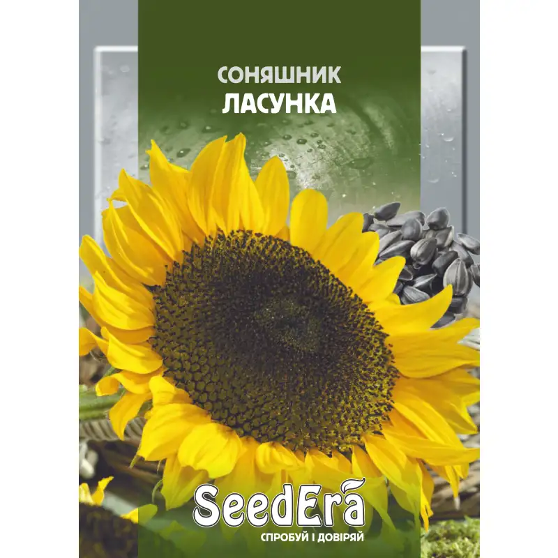 Подсолнечник Ласунка от Профессиональных Семян