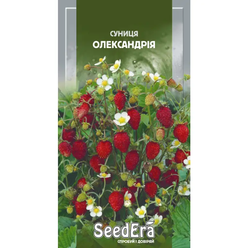 Земляника Александрия от Профессиональных Семян