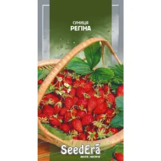 Земляника Регина от Профессиональных Семян