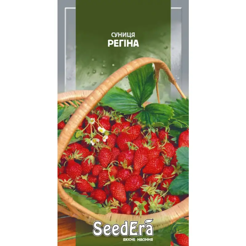 Земляника Регина от Профессиональных Семян