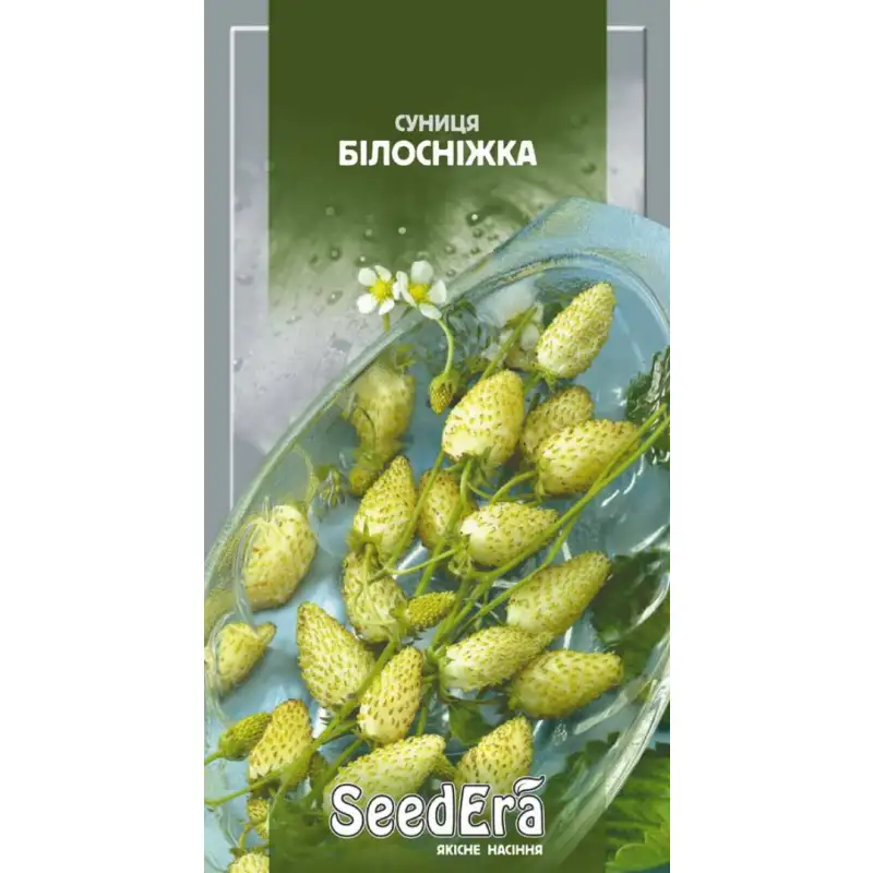 Земляника Белоснежка от Профессиональных Семян