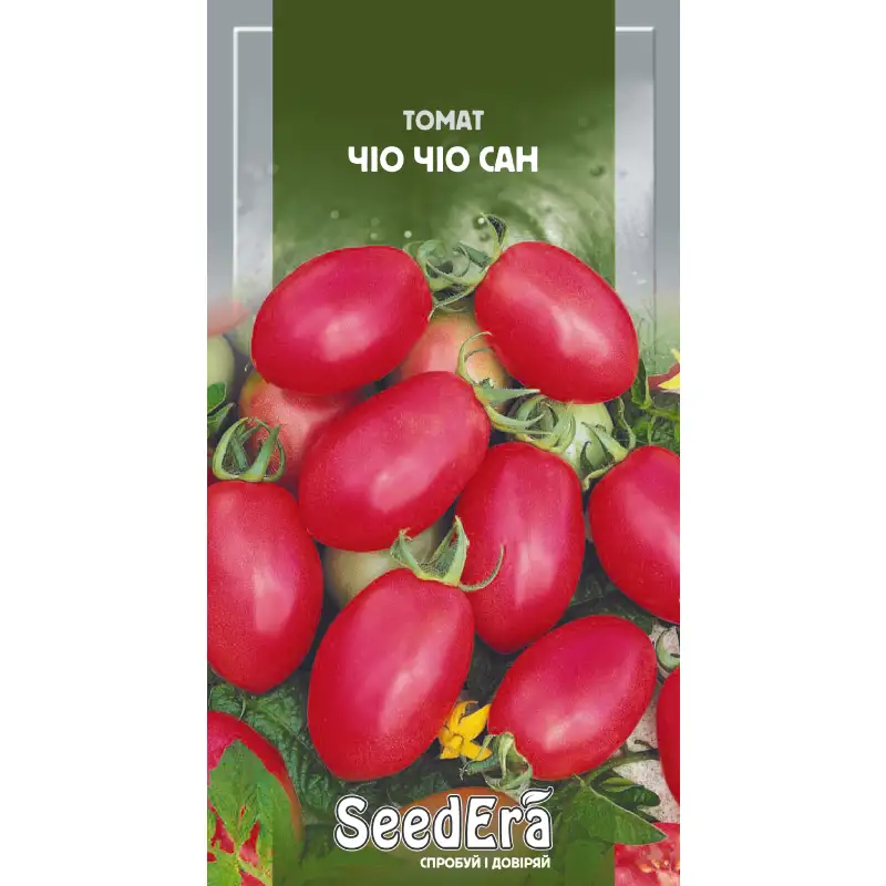 Томат Чио Чио Сан от Профессиональных Семян