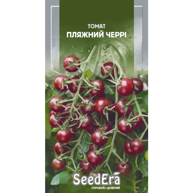 Томат Пляжный черри от Профессиональных Семян