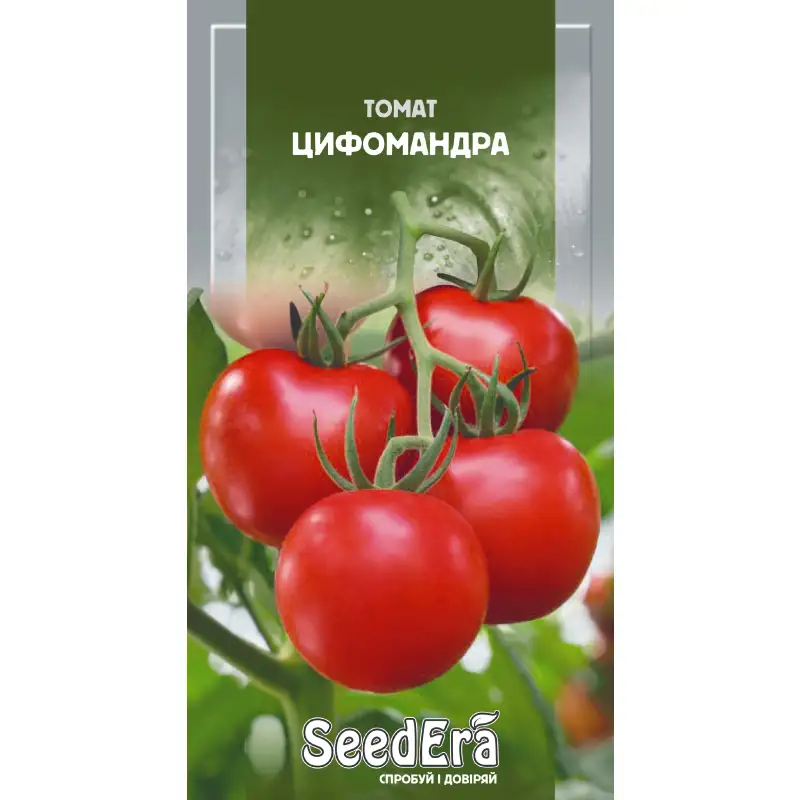 Томат Цифомандра от Профессиональных Семян