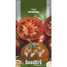 Томат Мулатка от Профессиональных Семян