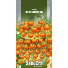 Томат Златовласка от Профессиональных Семян