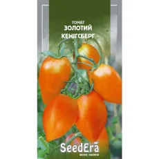 Томат Золотой Кенигсберг от Профессиональных Семян