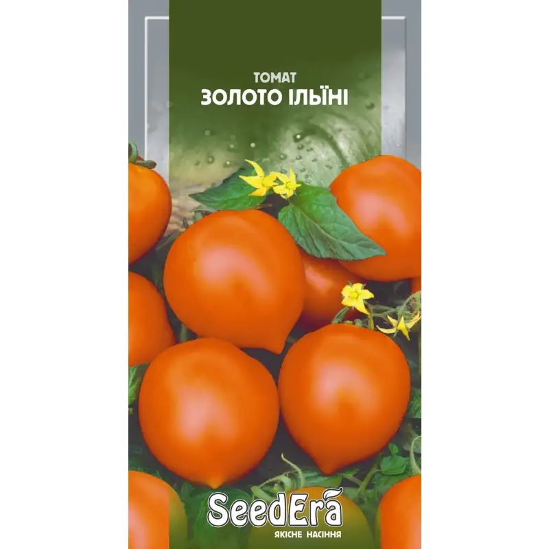 Томат Золото Илини от Профессиональных Семян
