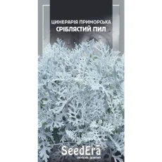 Цинерария приморская Серебристая пыль от Профессиональных Семян