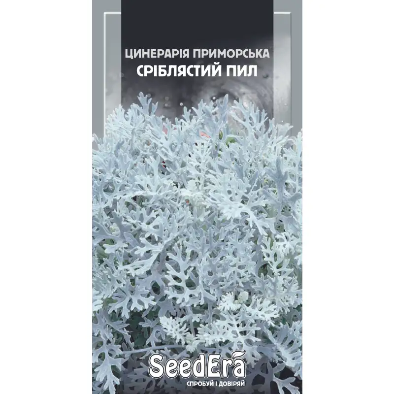 Цинерария приморская Серебристая пыль от Профессиональных Семян
