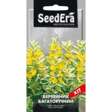 Лиатрис белый многолетний от Профессиональных Семян